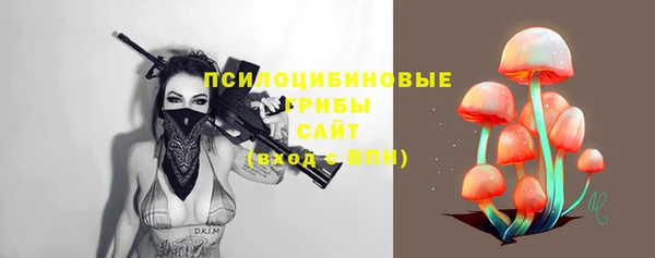 ПСИЛОЦИБИНОВЫЕ ГРИБЫ Верхний Тагил