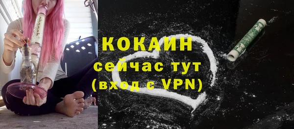 ПСИЛОЦИБИНОВЫЕ ГРИБЫ Верхний Тагил