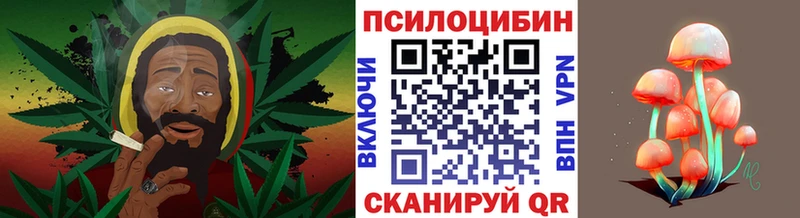 наркотики  Ачинск  маркетплейс как зайти  Псилоцибиновые грибы GOLDEN TEACHER  mega ТОР 